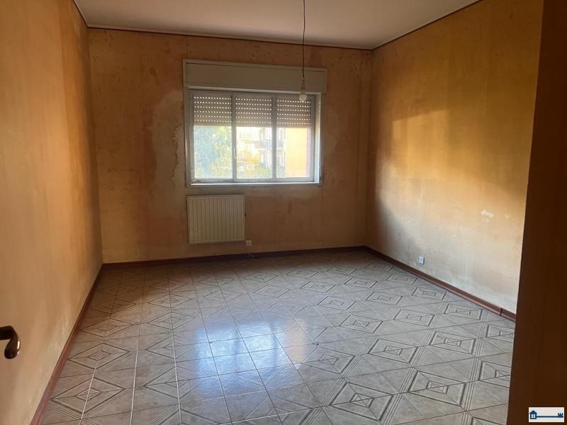 PHOTO-2023-12-15-18-31-42 (7).jpg